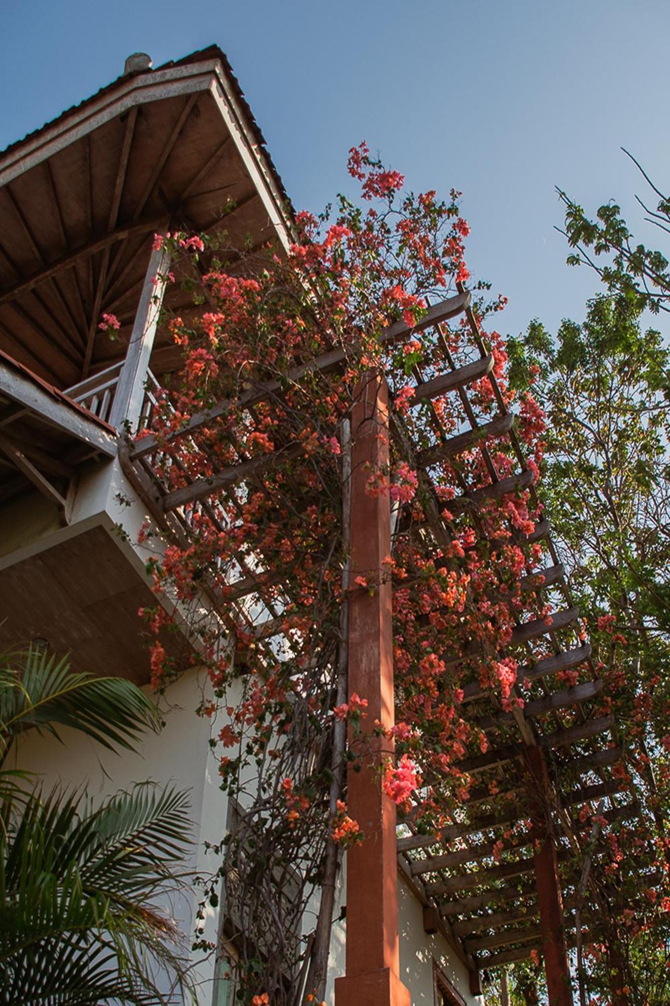 Bangsring Breeze Hotel Banyuwangi  Kültér fotó