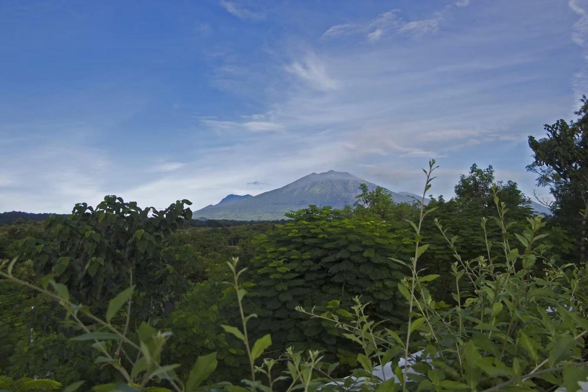 Bangsring Breeze Hotel Banyuwangi  Kültér fotó